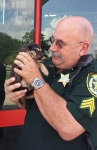 Stolen Puppy Recovered Sgt Zier